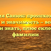 Фамилия Санюк: происхождение, история и значимость — все, что вы хотели знать, плюс склонение фамилии