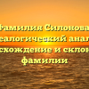 Фамилия Силонова: генеалогический анализ, происхождение и склонение фамилии