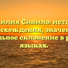 Фамилия Синило: история происхождения, значение и правильное склонение в разных языках.