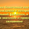 Фамилия Синиченко: исследуем происхождение и историю этой уникальной фамилии, а также узнаем значение и правильное склонение