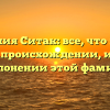 Фамилия Ситак: все, что нужно знать о происхождении, истории и склонении этой фамилии