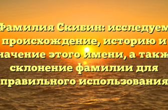 Фамилия Скибин: исследуем происхождение, историю и значение этого имени, а также склонение фамилии для правильного использования