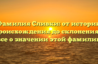 Фамилия Сливки: от истории происхождения до склонения — все о значении этой фамилии