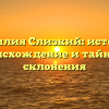 Фамилия Слизкий: история, происхождение и тайны ее склонения