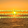 Фамилия Слюсарчук: происхождение и значение. Как правильно склонять?