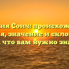 Фамилия Соич: происхождение, история, значение и склонение – все, что вам нужно знать!