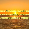 Фамилия Сокальский: история происхождения, значения и правила склонения в одной статье