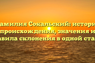 Фамилия Сокальский: история происхождения, значения и правила склонения в одной статье