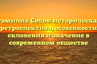 Фамилия Сопов: историческая ретроспектива, особенности склонения и значение в современном обществе
