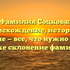 Фамилия Соцкова: происхождение, история и значение — все, что нужно знать, а также склонение фамилии.