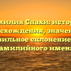 Фамилия Спахи: история происхождения, значения и правильное склонение для фамилийного имени.