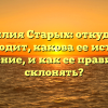 Фамилия Старых: откуда она происходит, какова ее история и значение, и как ее правильно склонять?