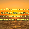 Фамилия Сторожевых: все, что нужно знать о происхождении, истории и значении, а также правильном склонении!