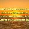 Фамилия Стучилин: все, что нужно знать о происхождении, истории и значении, а также правильном склонении фамилии