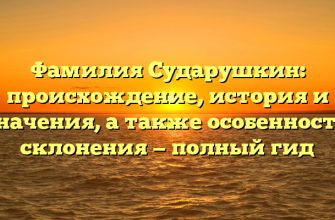 Фамилия Сударушкин: происхождение, история и значения, а также особенности склонения — полный гид