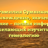 Фамилия Сумников: происхождение, значения и склонение — полная информация для желающих изучить свою генеалогию