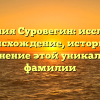 Фамилия Суровегин: исследуем происхождение, историю и склонение этой уникальной фамилии