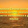Фамилия Сячин: история происхождения, значение и особенности склонения в русском языке