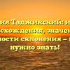 Фамилия Таджикский: история происхождения, значение и особенности склонения — всё, что нужно знать!