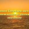 Фамилия Телебаев: история, происхождение и уникальное значение