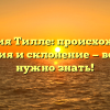 Фамилия Тилле: происхождение, история и склонение — всё, что нужно знать!