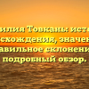 Фамилия Товкань: история происхождения, значение и правильное склонение – подробный обзор.