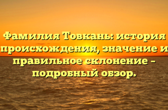 Фамилия Товкань: история происхождения, значение и правильное склонение – подробный обзор.
