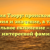 Фамилия Тоору: происхождение, история и значение, а также правильное склонение — все об этой интересной фамилии.