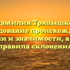 Фамилия Тряпышко: исследование происхождения, истории и значимости, а также правила склонения