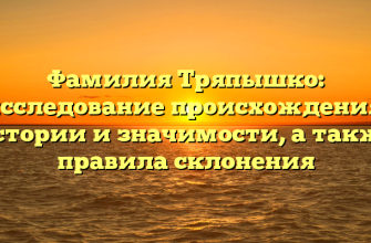 Фамилия Тряпышко: исследование происхождения, истории и значимости, а также правила склонения