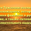 Фамилия Тужилин: исследование происхождения, истории и значения фамилии в русском языке, а также склонение именительного падежа.