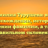 Фамилия Турушева: всё о происхождении, истории и значении фамилии, а также правильном склонении
