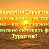 Фамилия Турыгин: происхождение, история и значение — все, что нужно знать. Как правильно склонять фамилию Турыгин?