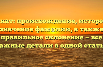 Буркат: происхождение, история и значение фамилии, а также правильное склонение — все важные детали в одной статье