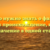 Все, что нужно знать о фамилии Плигин: происхождение, история и значение в одной статье