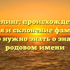 Гевелинг: происхождение, история и склонение фамилии — всё, что нужно знать о значимом родовом имени