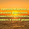 Джилл: происхождение, история и значение фамилии. Как правильно склонять и использовать в своей родословной