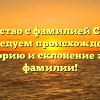 Знакомство с фамилией Стригин: исследуем происхождение, историю и склонение этой фамилии!