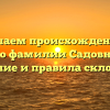 Изучаем происхождение и историю фамилии Садовниченко: значение и правила склонения