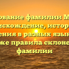 Исследование фамилии Медунов: происхождение, история и значения в разных языках, а также правила склонения фамилии