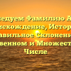Исследуем Фамилию Айко: Происхождение, История и Правильное Склонение в Единственном и Множественном Числе