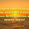 Исследуем происхождение, историю, значение и склонение фамилии Велижанина: все, что нужно знать!