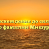 От происхождения до склонения: всё о фамилии Мишурина