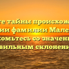 Откройте тайны происхождения и истории фамилии Малеванов: ознакомьтесь со значением и правильным склонением!