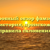 Подробный обзор фамилии Мокий: история, происхождение и правила склонения