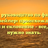 Полное руководство по фамилии Дорцвейлер: происхождение, история и склонение – все, что вам нужно знать.