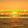 Полное руководство по фамилии Кириян: история, значение и особенности склонения