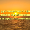 Полное руководство по фамилии Кучербаев: происхождение, история и правильное склонение.