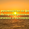 Полное руководство по фамилии Паскар: История, происхождение, значение и склонение.