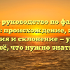 Полное руководство по фамилии Соколан: происхождение, история, значения и склонение — узнайте всё, что нужно знать!